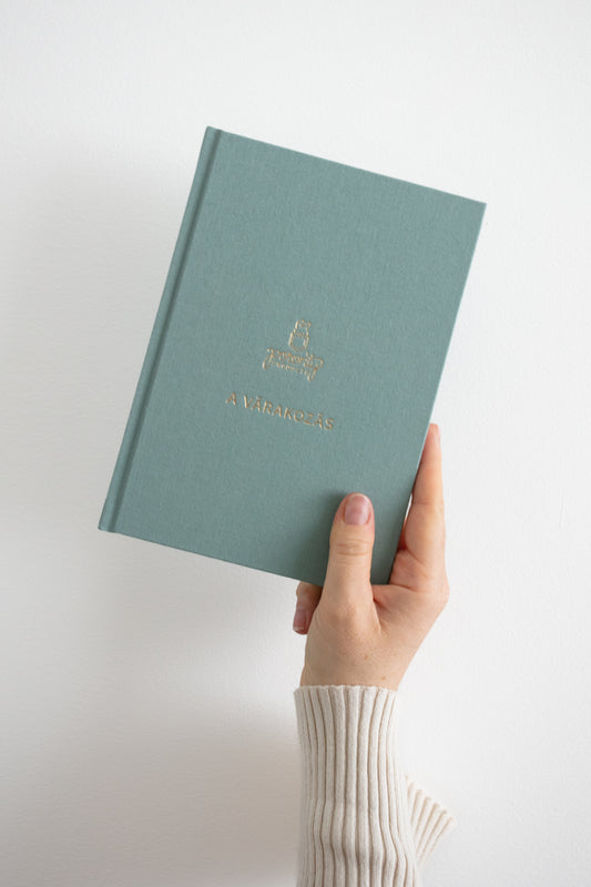 Poronty Products A várakozás lombiknapló lombikprogramhoz, kék színű