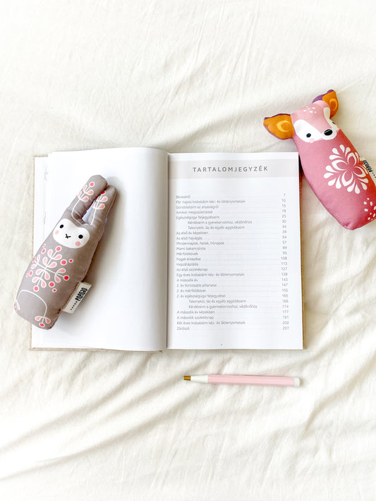 Ikreim első két éve - Ablak a világra támogatás